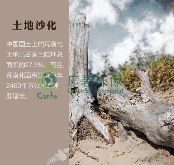 世界地球日 我們能為地球做些什么？(圖4)