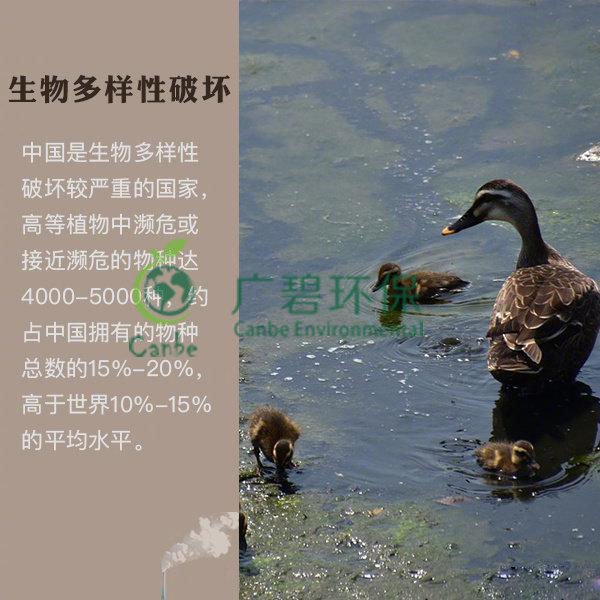 世界地球日 我們能為地球做些什么？(圖6)
