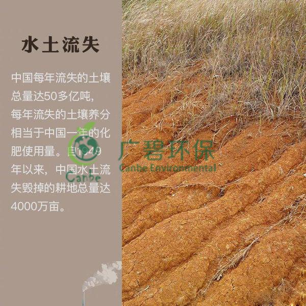 世界地球日 我們能為地球做些什么？(圖7)