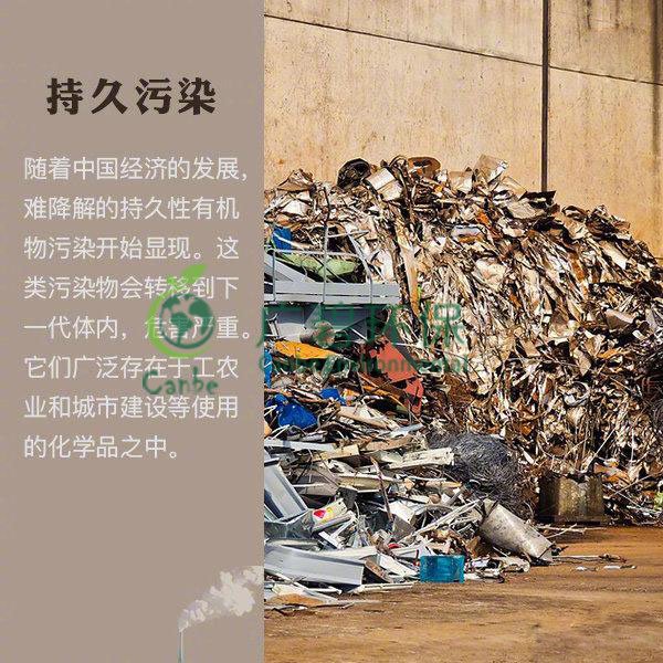 世界地球日 我們能為地球做些什么？(圖8)