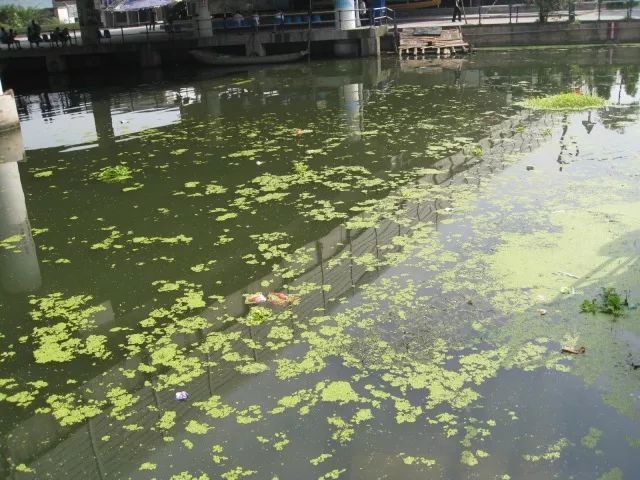 城市黑臭河道如何治理？河道黑臭水體治理思路