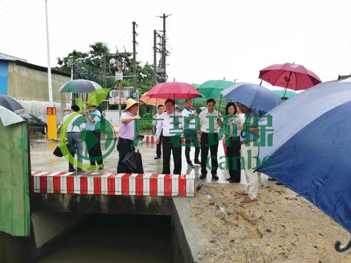 佛山推進(jìn)水污染防治問題整改，虛假整改將被問責(zé)！(圖2)