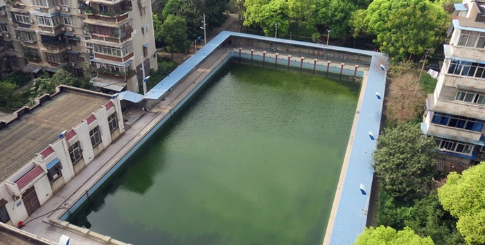 游泳池水變綠是什么原因？游泳池水處理方法
