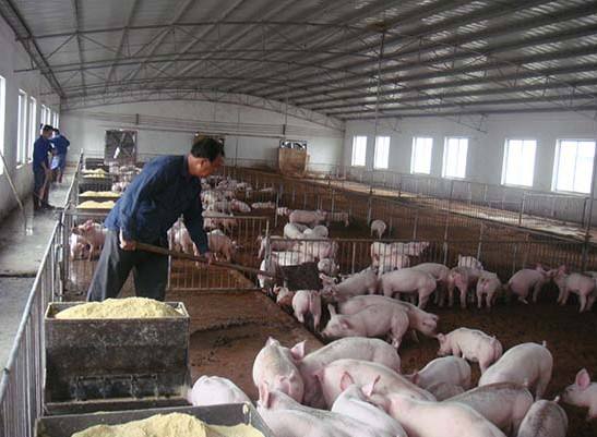 什么是養(yǎng)殖廢水？養(yǎng)殖廢水處理工藝