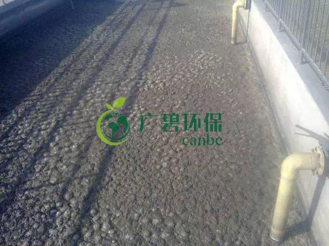 污泥發(fā)黑是什么原因造成？污泥發(fā)黑經(jīng)驗(yàn)分享(圖1)