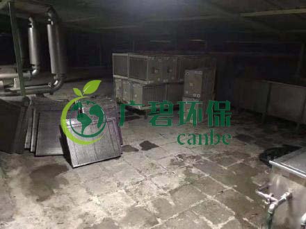 廣州旺旺食品廢水直排，永和河大量魚類死亡(圖3)