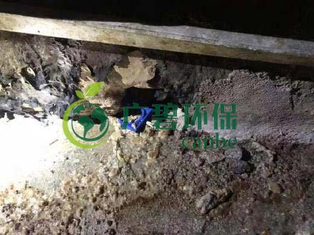 廣州旺旺食品廢水直排，永和河大量魚類死亡(圖4)