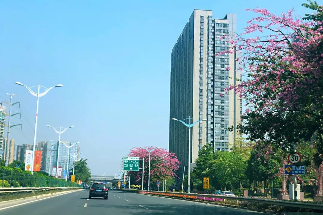 環(huán)境部印發(fā)《規(guī)劃環(huán)評技術(shù)導則 總綱》，項目環(huán)評部分章節(jié)可簡化