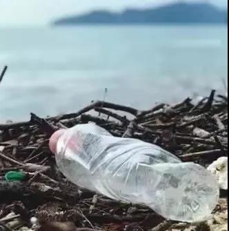 世界地球日|珍愛(ài)地球，人與自然和諧共生(圖8)