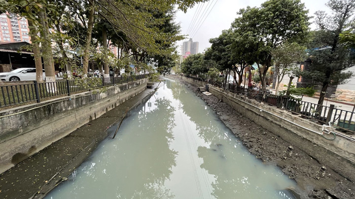 順德大良石洛涌、八坊涌整治見成效(圖3)
